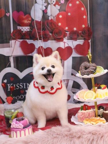 20250211ビビちゃん